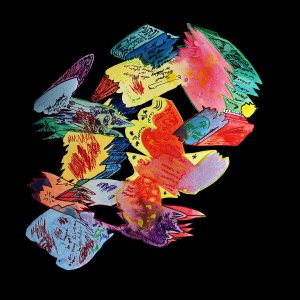 import bone to desktop, die fliege war immer schon eher da, i have to get my liveact together