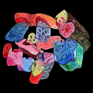 Flügel / Anker / Schnee den Rhein hinunterschippen